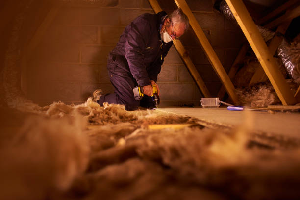Best Cellulose Insulation in Sully Square, VA